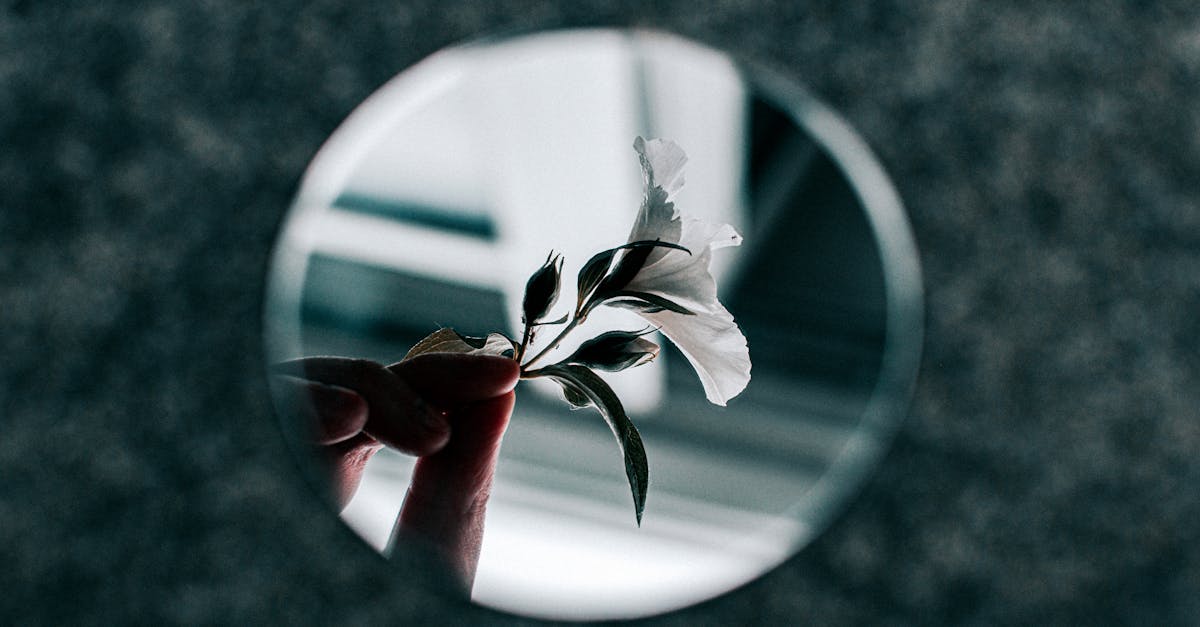 Is there a global Brain Awareness Week?