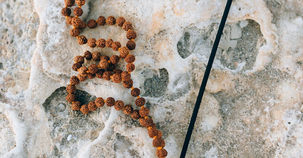 What are the 6 pillars of brain health?