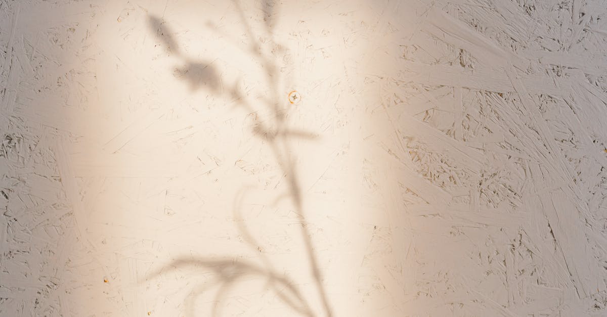 What habits weaken the brain?