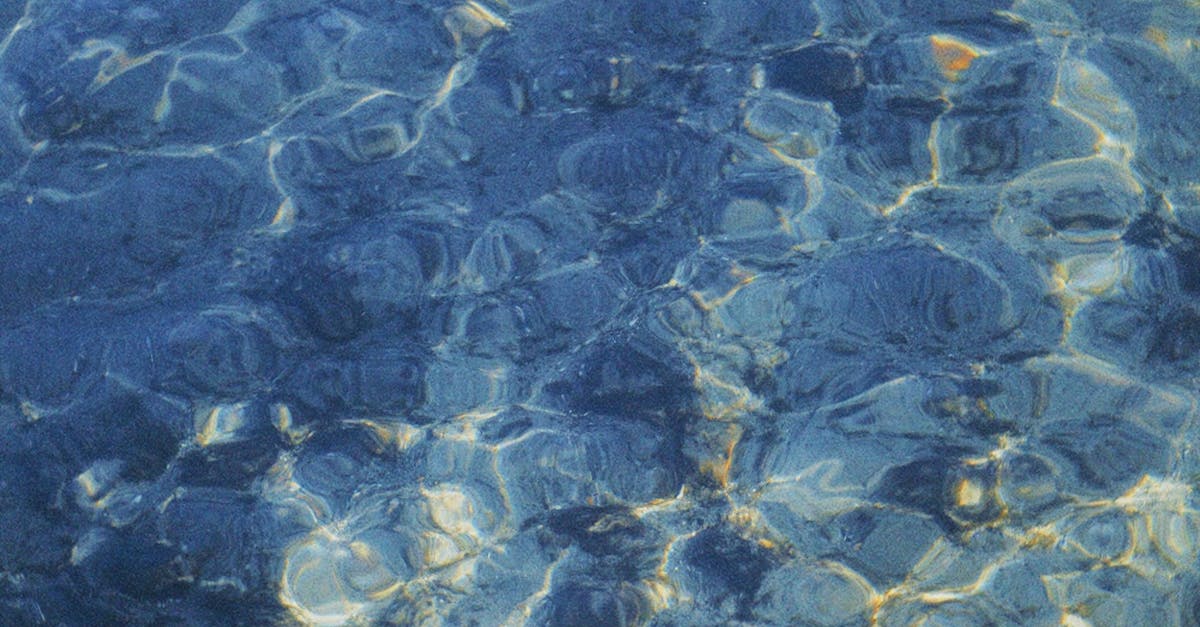 What wellness month is March?